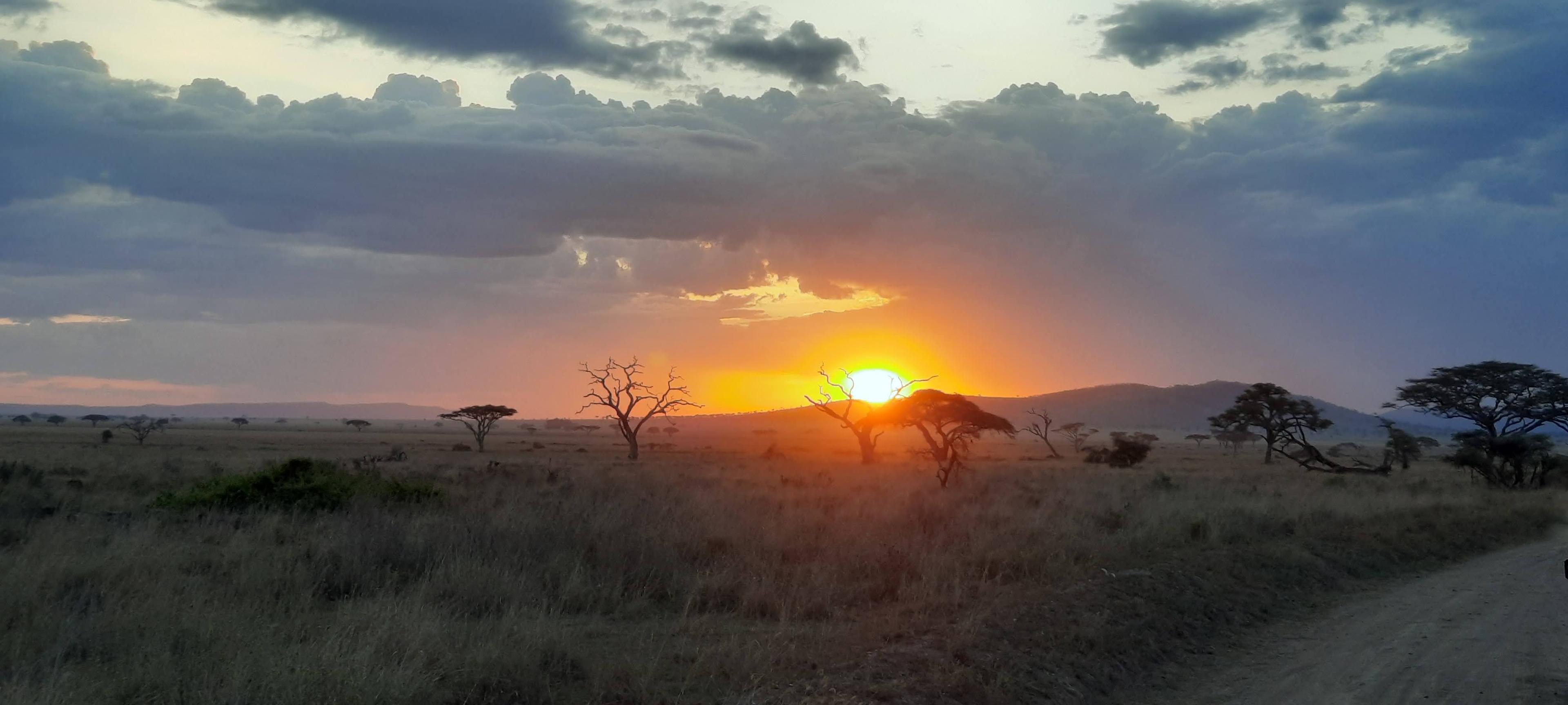 Newsletter Background