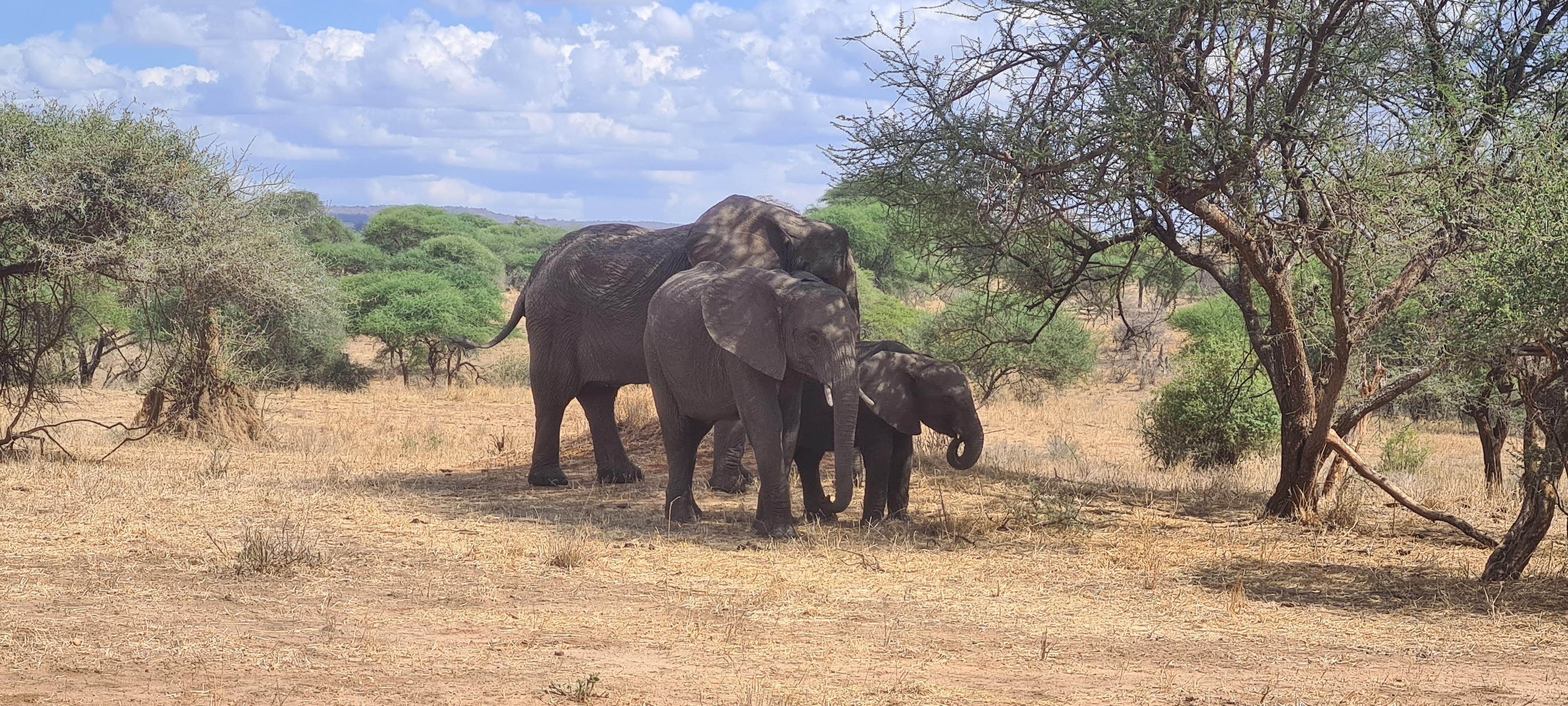 8 Day Camping Safari