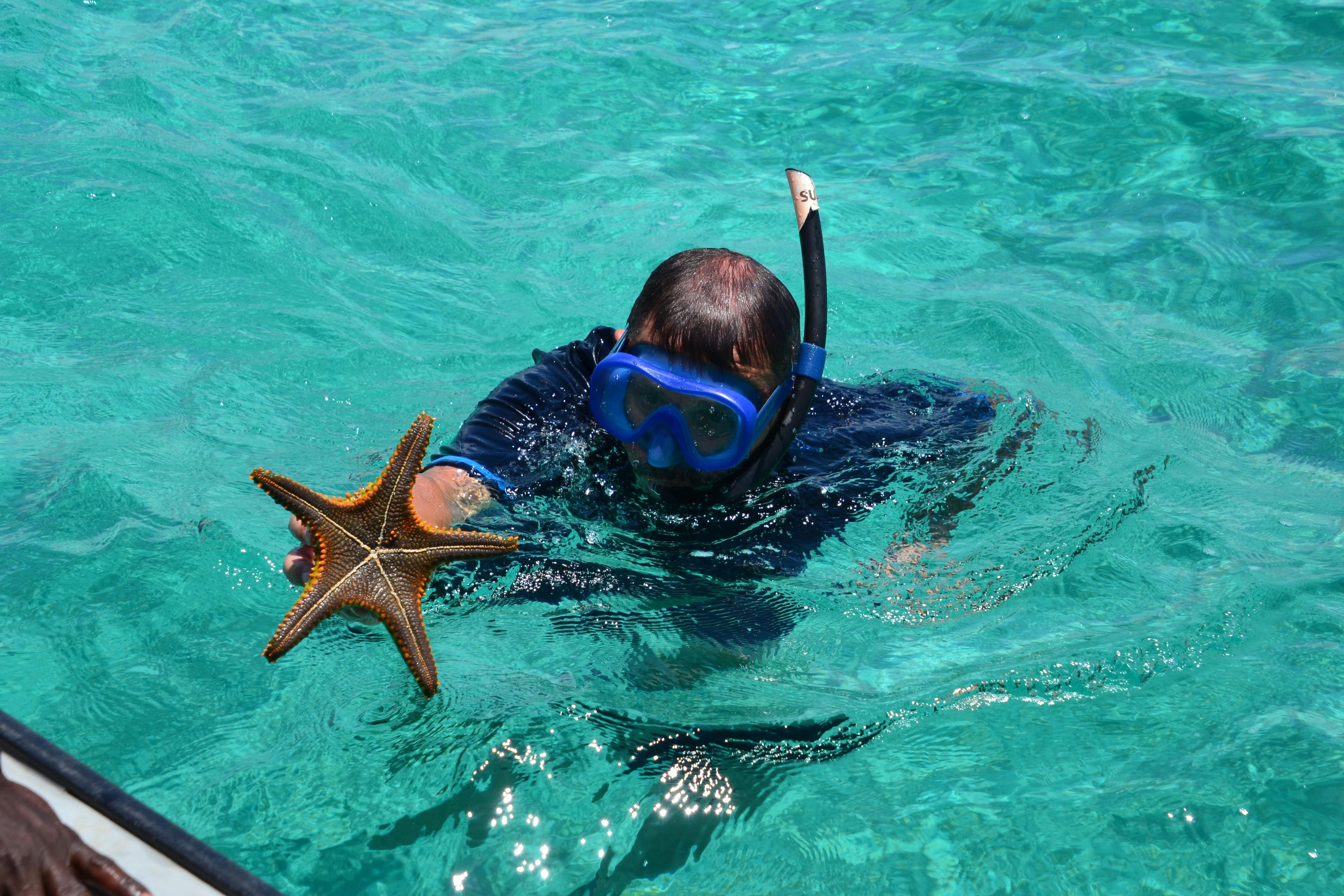 Zanzibar Diving & Culture