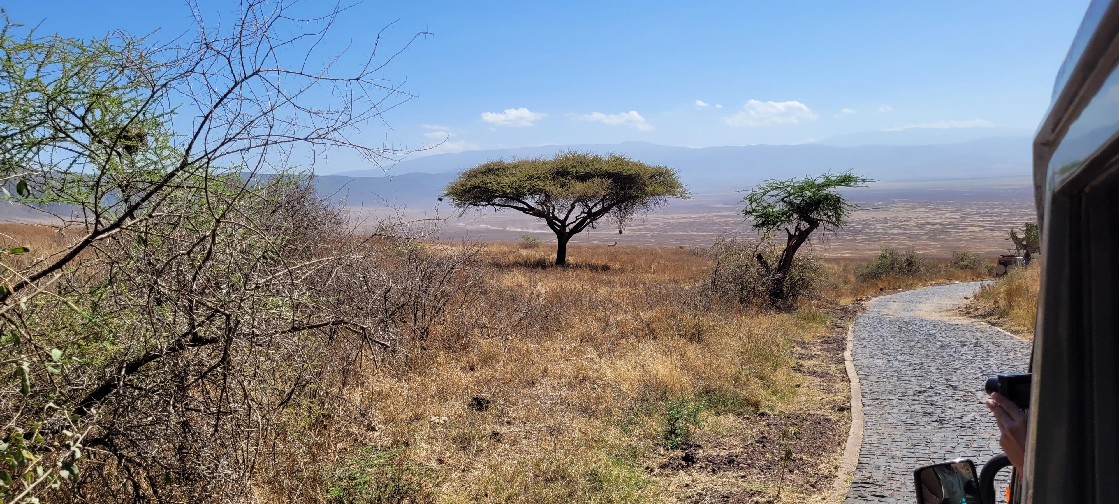 Jour 4 : Du Cratère du Ngorongoro à l'Hôtel d'Arusha – L'Eden Retrouvé