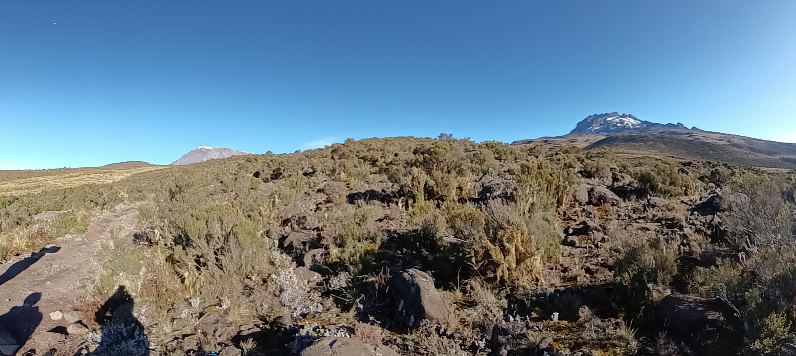 Kilimanjaro Lemosho Route