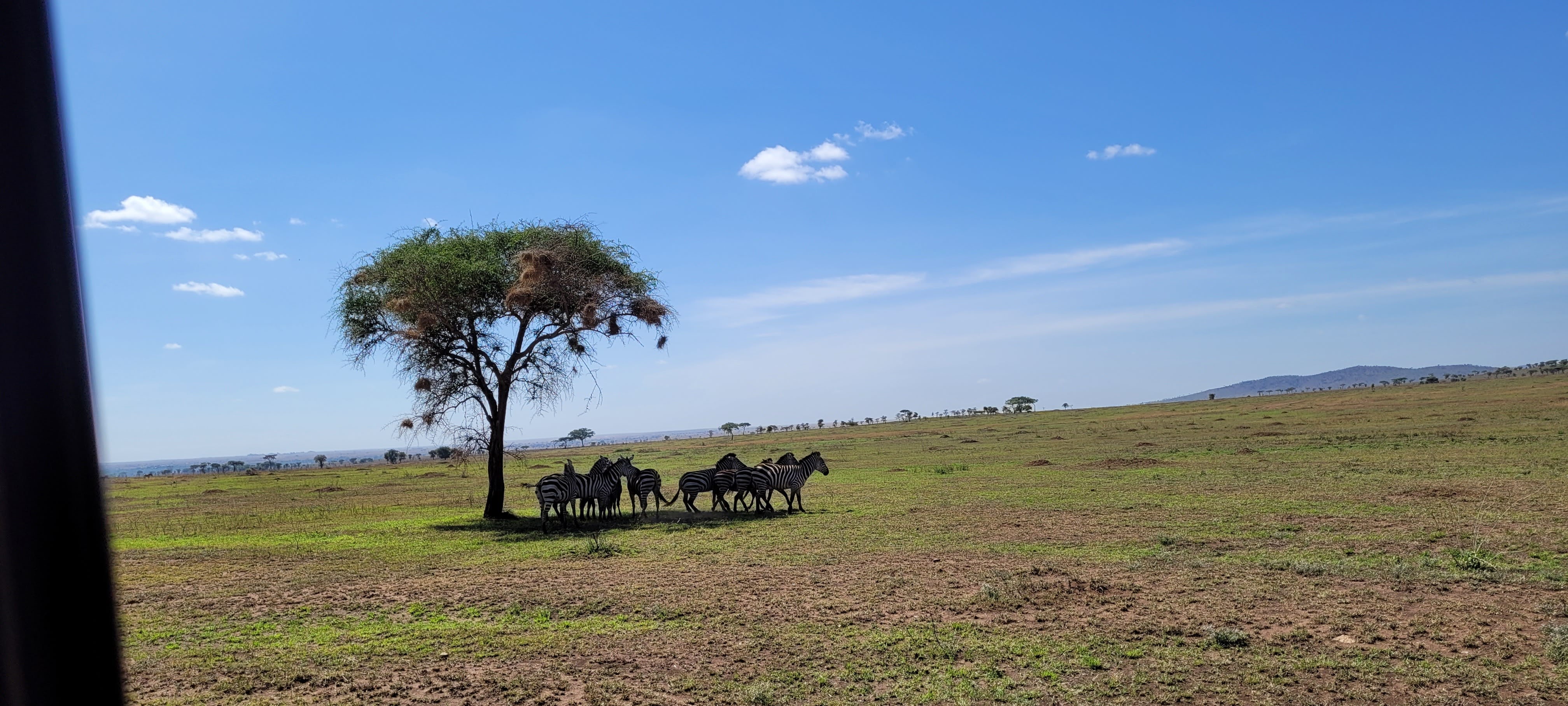 Jour 3 Route vers le parc national du Serengeti